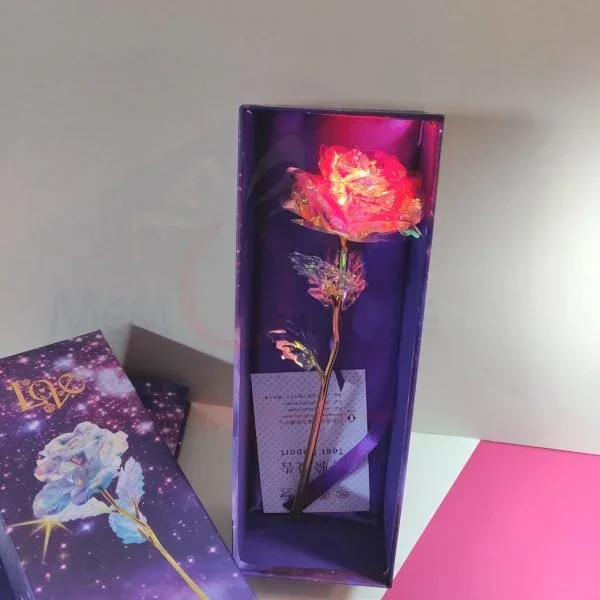 Alternative view of Light Rose