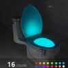 Toilet Seat Light